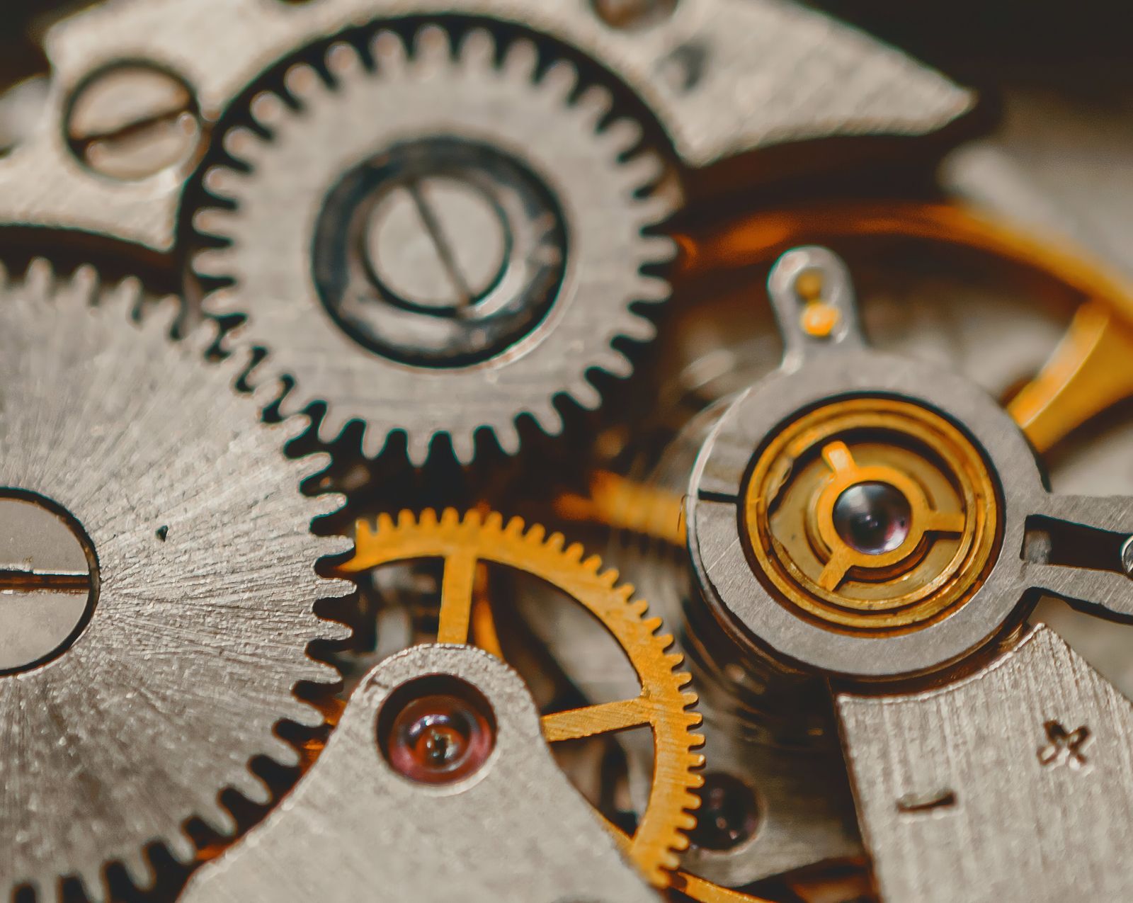 Macro photograph of a watch movement, two gears meshing